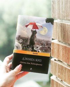 39741553_295170054410208_3970691088989028352_n